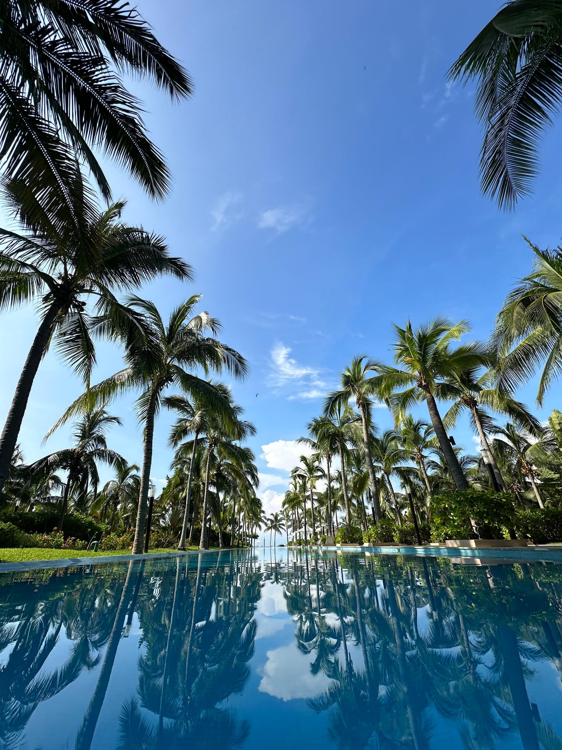 Piscina rodeada de palmeras en Península Ixtapa, con el cielo reflejado en el agua