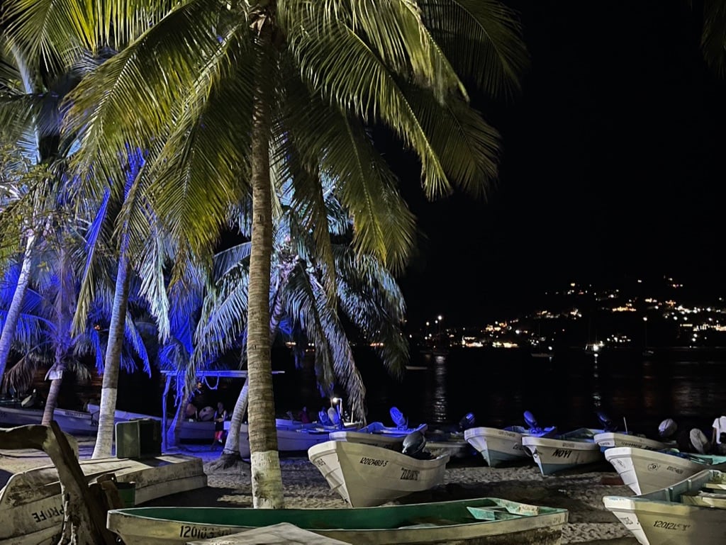 Palmeras y pequeñas embarcaciones sobre la playa de Zihuatanejo durante la noche