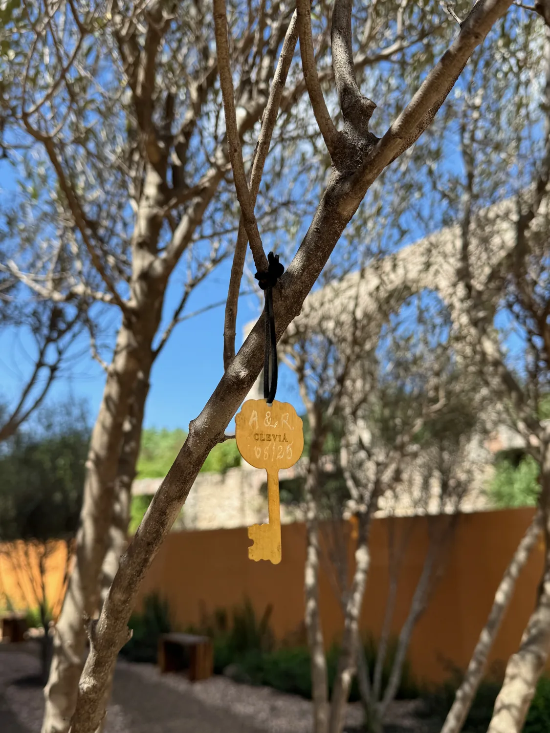 Un detalle de Cleviá que conservamos en una fotografía.